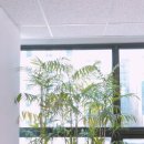 소소5층 이미지