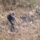 봉산축사 | 의성 비님이산, 구봉산