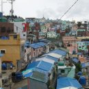 감천2동-8 이미지