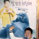 오마이캣츠 오마이뉴스