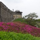 수원-1776 이미지