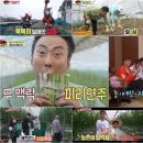 끼리끼리 일간스포츠