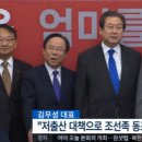 김무성 카카오 검색결과