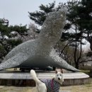 금강산밥m