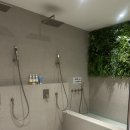 솔로사우나레포 이미지