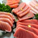 유연참치 이미지