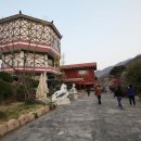 매화랜드 네이버블로그