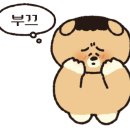 이자카야유리