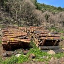 경상북도종합관광안내센터 이미지