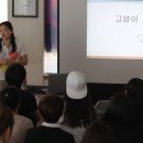 중앙애견 이미지