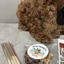 블루멍S 이미지