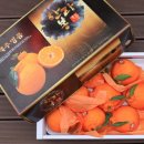 세용농장 이미지