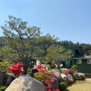 이놈애커피 이미지