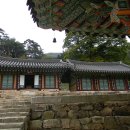 수다라성보박물관(영광불갑사) 이미지