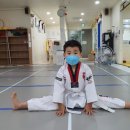 힘찬태권도 이미지