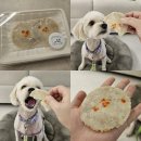 시골개 새참 이미지