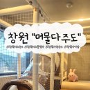 머물다 주도