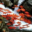 사시사철-풍요 이미지