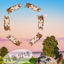 신성상사 이미지