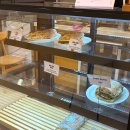 수원-1246 | 빵맛집 투어: 수원 광교 르페르 베이커리 소금빵/모어브레드 크크바, 바게트/용인 스윗오븐 케이크