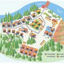 캠프우든브릿지 이미지