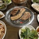배박사늑대갈비