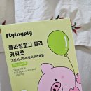 다이어트 보조제 여름필수품 가르시니아 가득한 플라잉피그 젤리 키위맛 간식