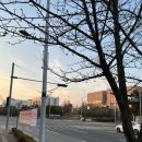 스페이스엔(space N) | 송도 일몰 맛집🌅 솔찬공원 케이슨24 Vis Kitchen 오션뷰 레스토랑 내돈내산 솔직후기