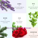 제로디펙트 이미지