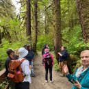 Rainforest Wildlife Sanctuary, Kitchkan, Alaska 이미지