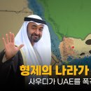 사우디가 UAE을 폭격한 이유 그리고 한국 아크부대 이미지