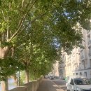 유로버즈커피 | [25 SUMMER EUROPE] 파리 3일차, 런던 1일차, 유로스타 노팅힐 파이브가이즈 레미제라블