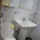 적노동 Daum카페