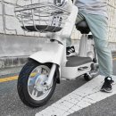 신화타이어판매 주식회사 | 나노휠 반니 전동스쿠터 48V, 편의점 다녀오기 5분 컷 근거리 이동
