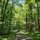 나무그늘파크(park) 이미지