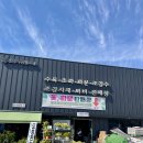 산림조합 | 천안 식물 구경하기 좋은 곳 재방문! 천안시산림조합 임산물유통센터 후기