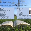 그림책 하브루타 이미지