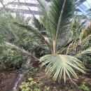 도날드농장 | 제주 서귀포 가볼만한곳 유아무료입장 제주 만들기 체험