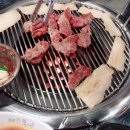 제주돈애