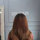 헤어251