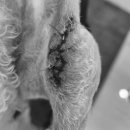 이수동물병원 이미지