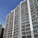 백양대로 이미지