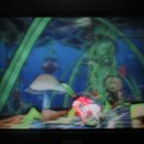 오오카미 이미지