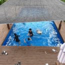 수플러스펜션 이미지