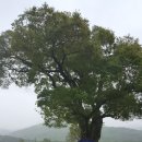 연산농로 이미지