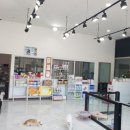 개편한 미용# 이미지