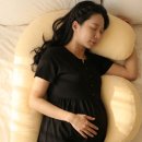 드림바디 유도클럽 | 임산부 바디필로우 비교 후기! 바르맘 vs 문피스 vs 드림지니 직접 따져본 선택 가이드