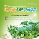 내면고원체육공원 네이버블로그