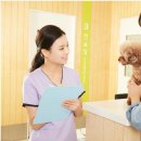 꿈꾸는 동물병원 이미지