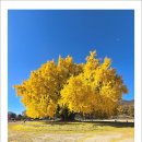 오늘하루 이미지